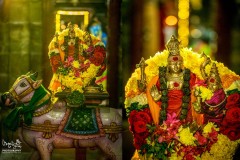 Sri Ramalingaswamy Temple - Jadayupuram