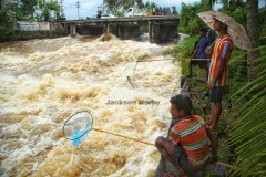 வீரநாராயணமங்கலம் ஆற்றில் வெள்ளப்பெருக்கு...