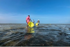 Dhanushkodi - Pamban Island