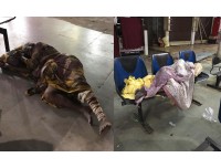 வாழ்க்கையில் நிம்மதி இல்லை என புலம்பும் மனிதர்களே...