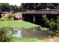 கன்னியாகுமரி -  அசுத்தமாகும் பழையாறு