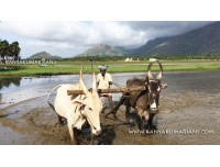 விவசாயம் காப்போம் - நாஞ்சில் நாடு