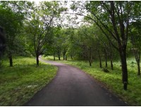 கன்னியாகுமரி - மேற்கு தொடர்ச்சி மலை  (Western Ghats)