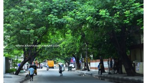 South boag Road, Chennai