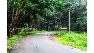 Kalikesam Forest