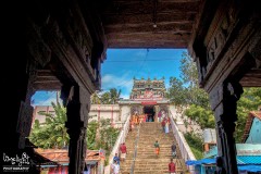 Murugan Temple - Kumaracoil (Kumarakovil)