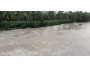 Boothapandi River - Kanyakumari Floods 2018