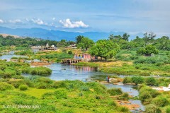 Thamirabarani River - Tirunelveli