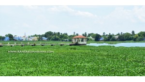 Nainar Kulam - Tirunelveli