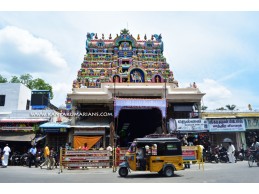 Nellaiappar Kanthimathi Temple Tirunelveli