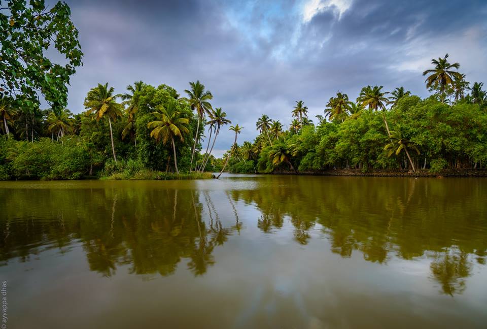 Poovar Backwaters Boating In Poovar Trivandum Kerala God s Own 